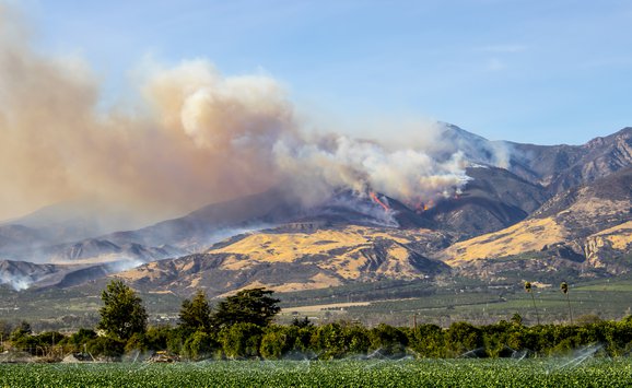 Thomas fire wibbenmeyer