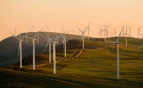 214_IRA Article_hero image_1920x1080.png