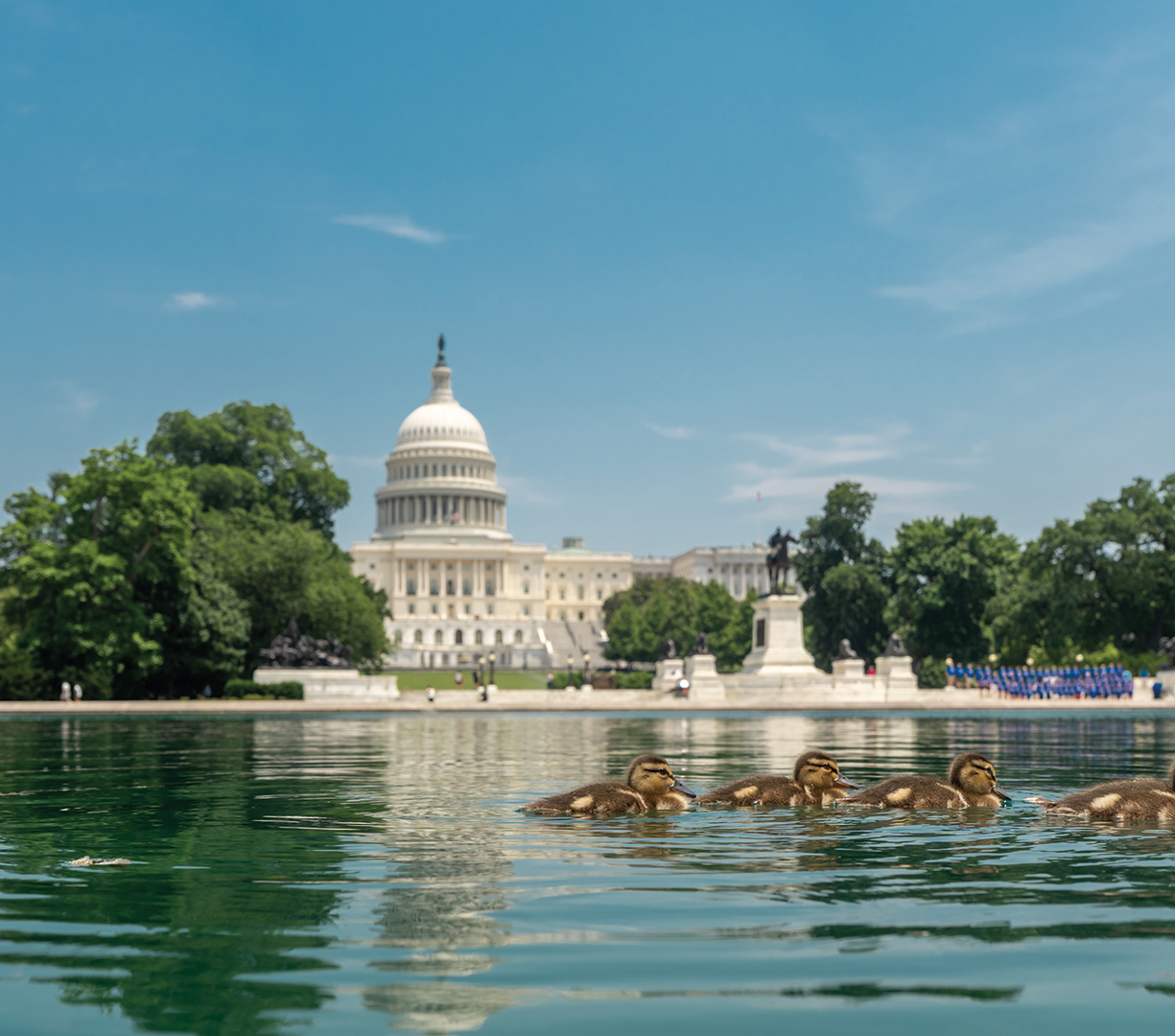 Issue 219 - Federal Climate Policy (16x9) - Getty Images 2228409117