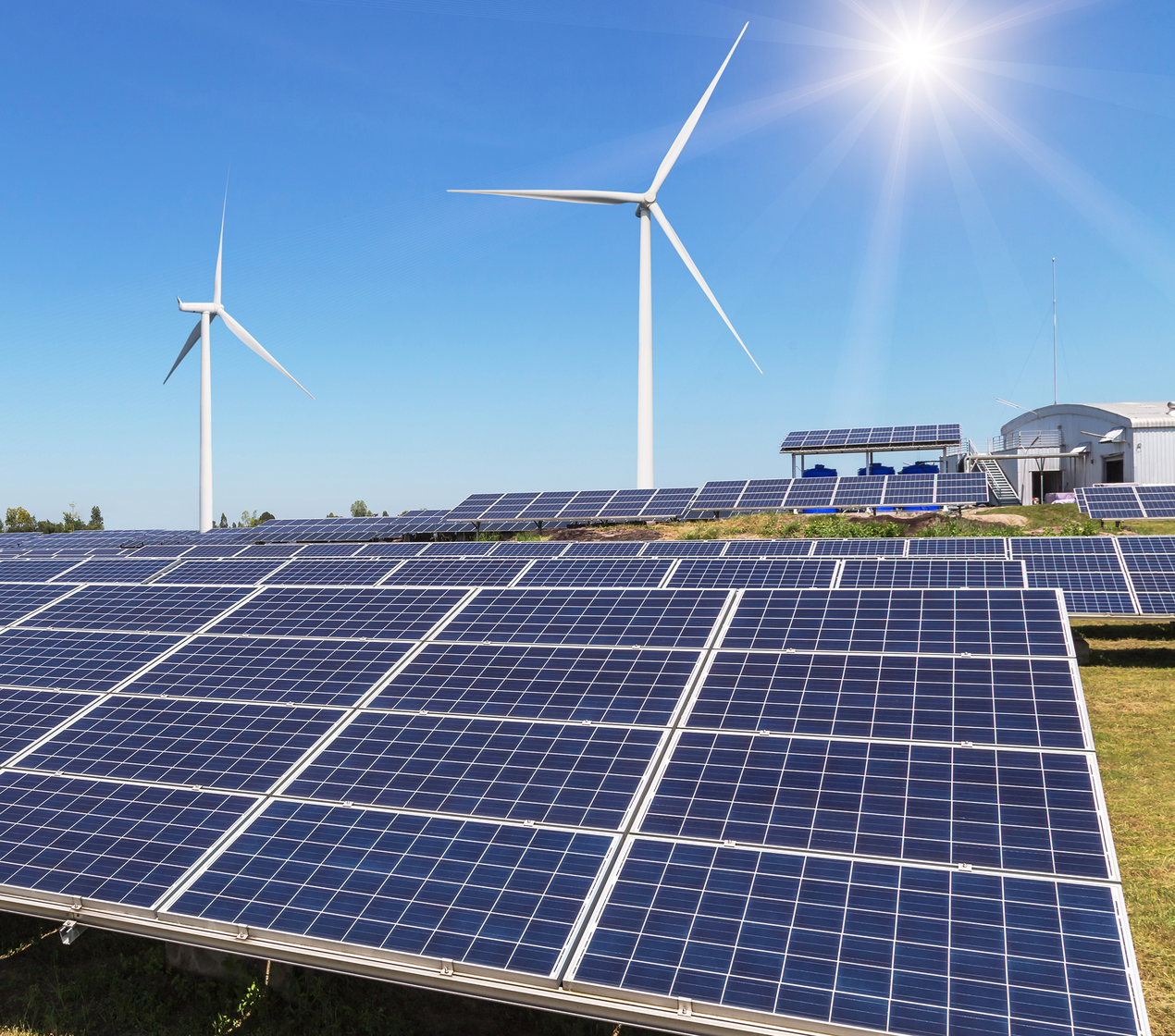 shutterstock_1029322522