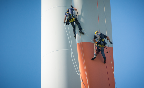 shutterstock_1244996929