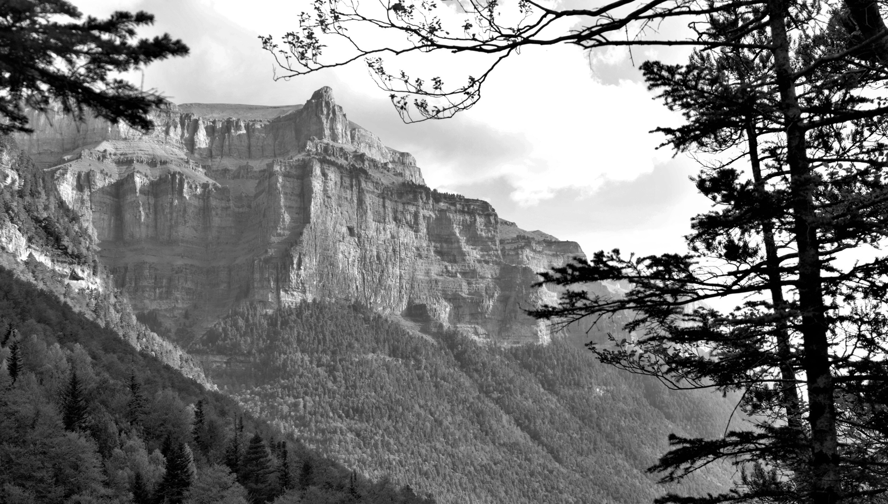 shutterstock_1349827034