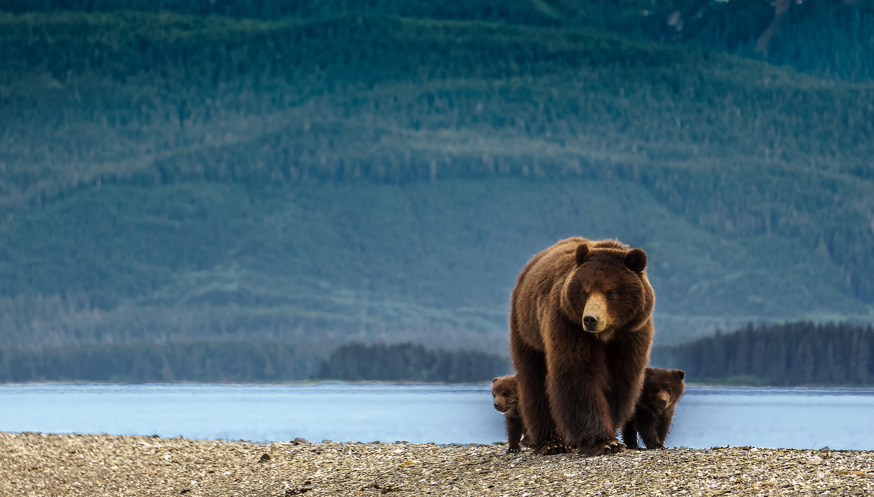 shutterstock_1455192461