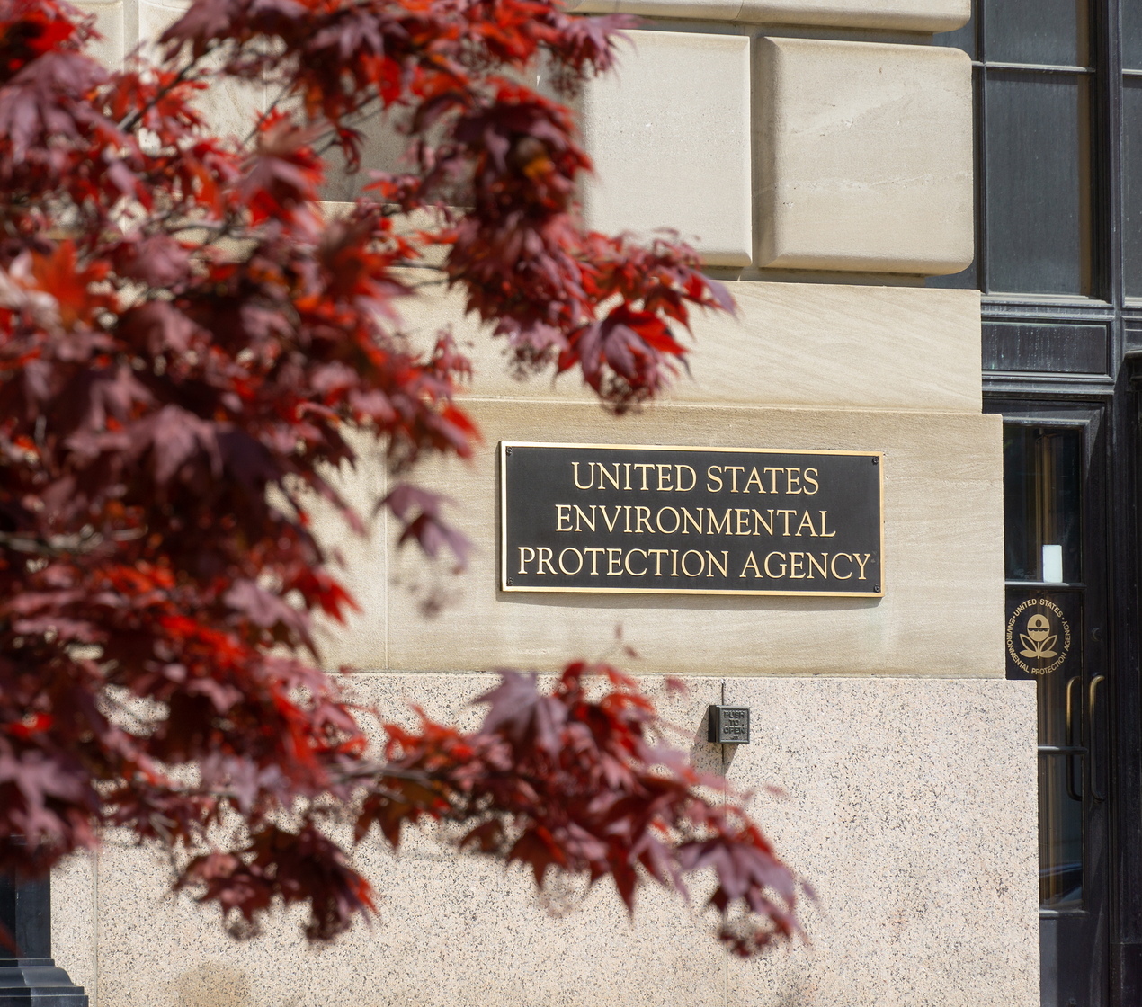 shutterstock_1485116570 (1)