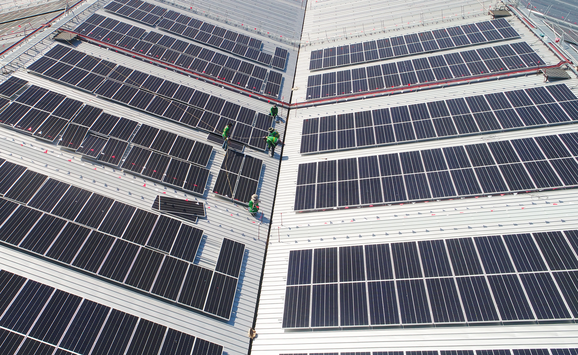 shutterstock_1715357224(1)