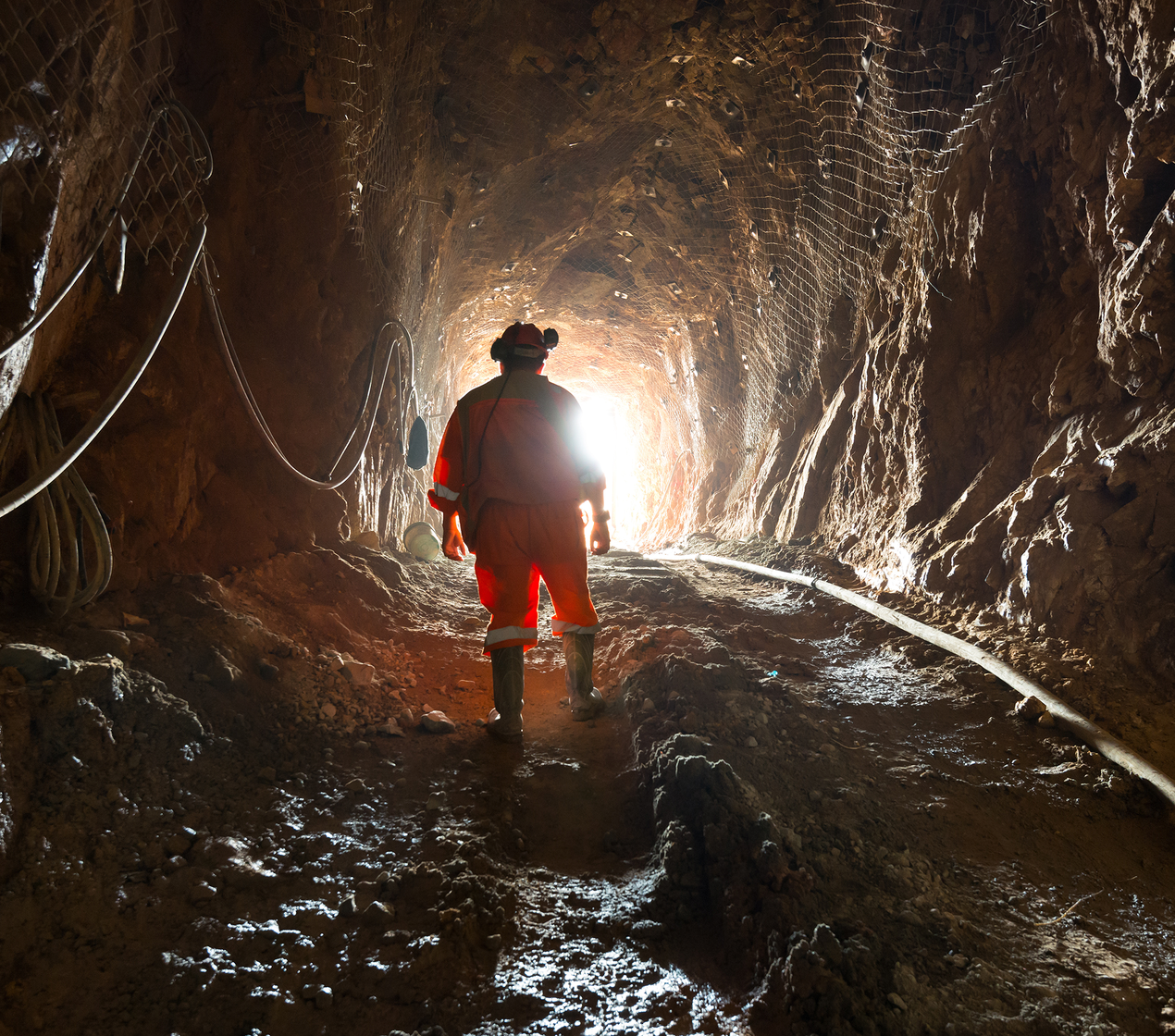 shutterstock_1779897323 (2)