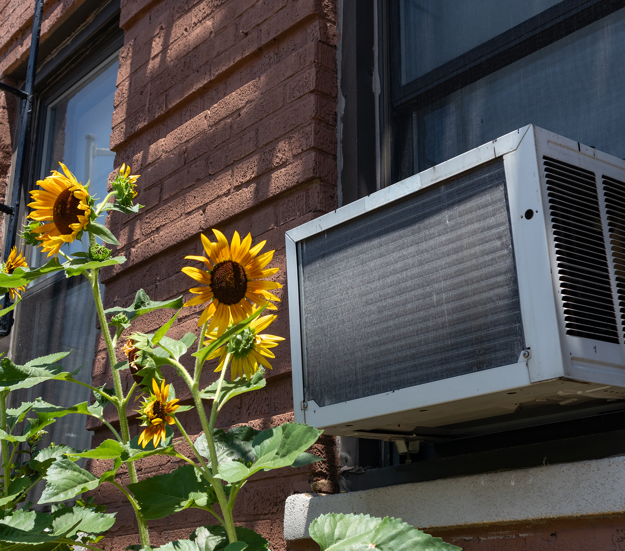 shutterstock_1788917078 (16x9)