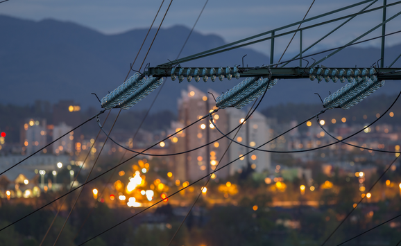 shutterstock_192479264(1)