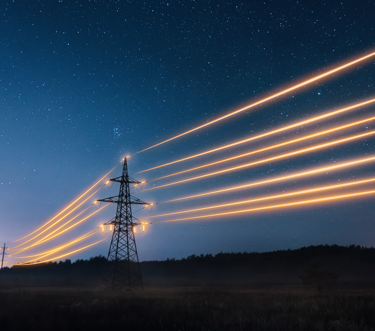 shutterstock_2109724295