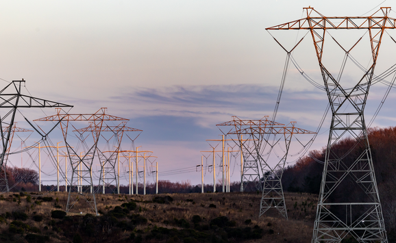 shutterstock_2269108423