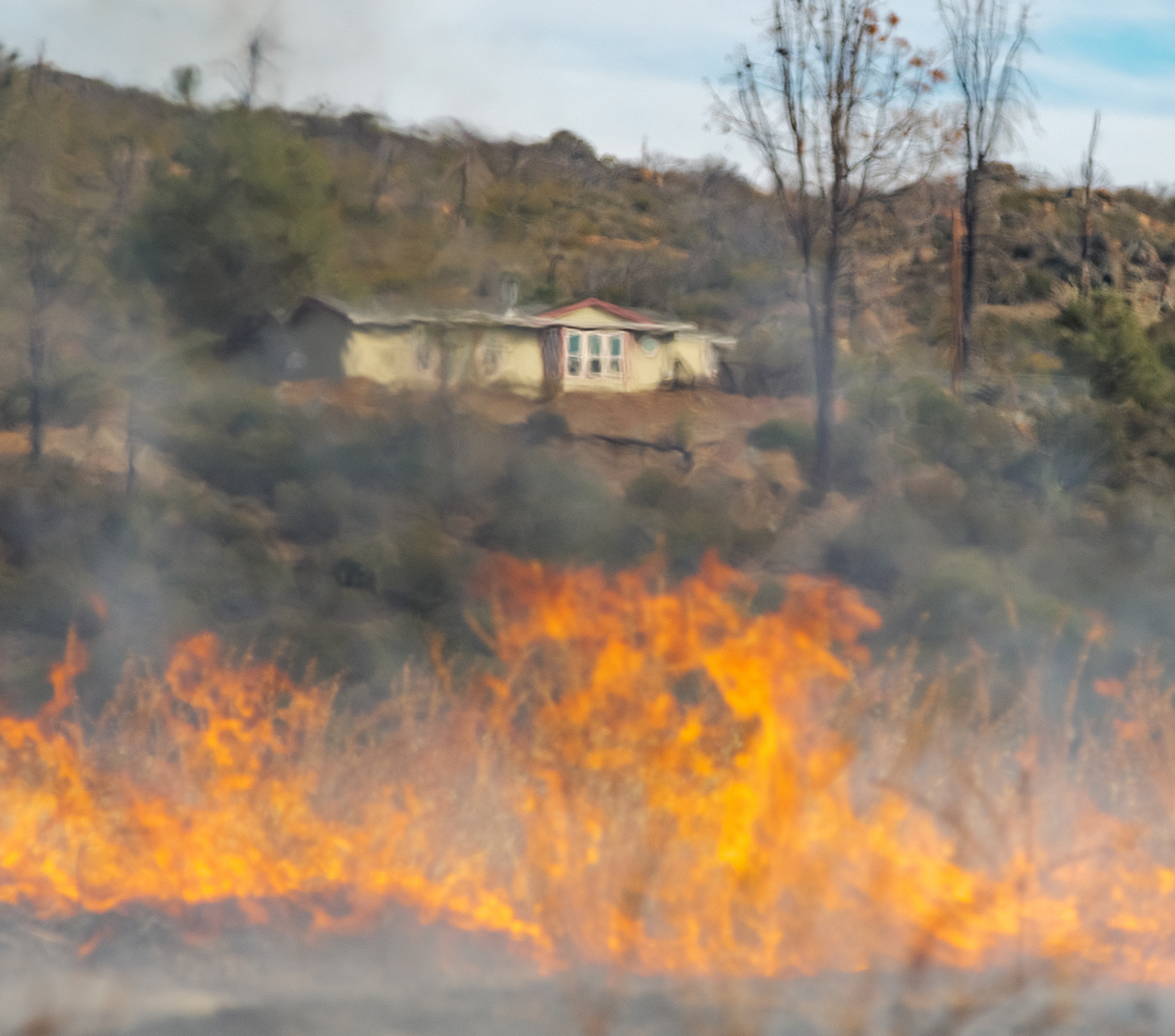 shutterstock_2317541569(1)