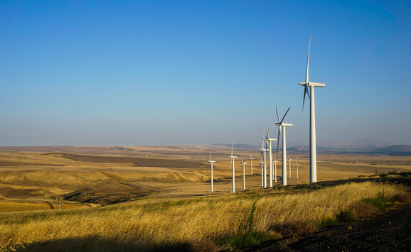 shutterstock_2336225929