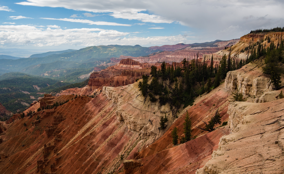 shutterstock_2354447255