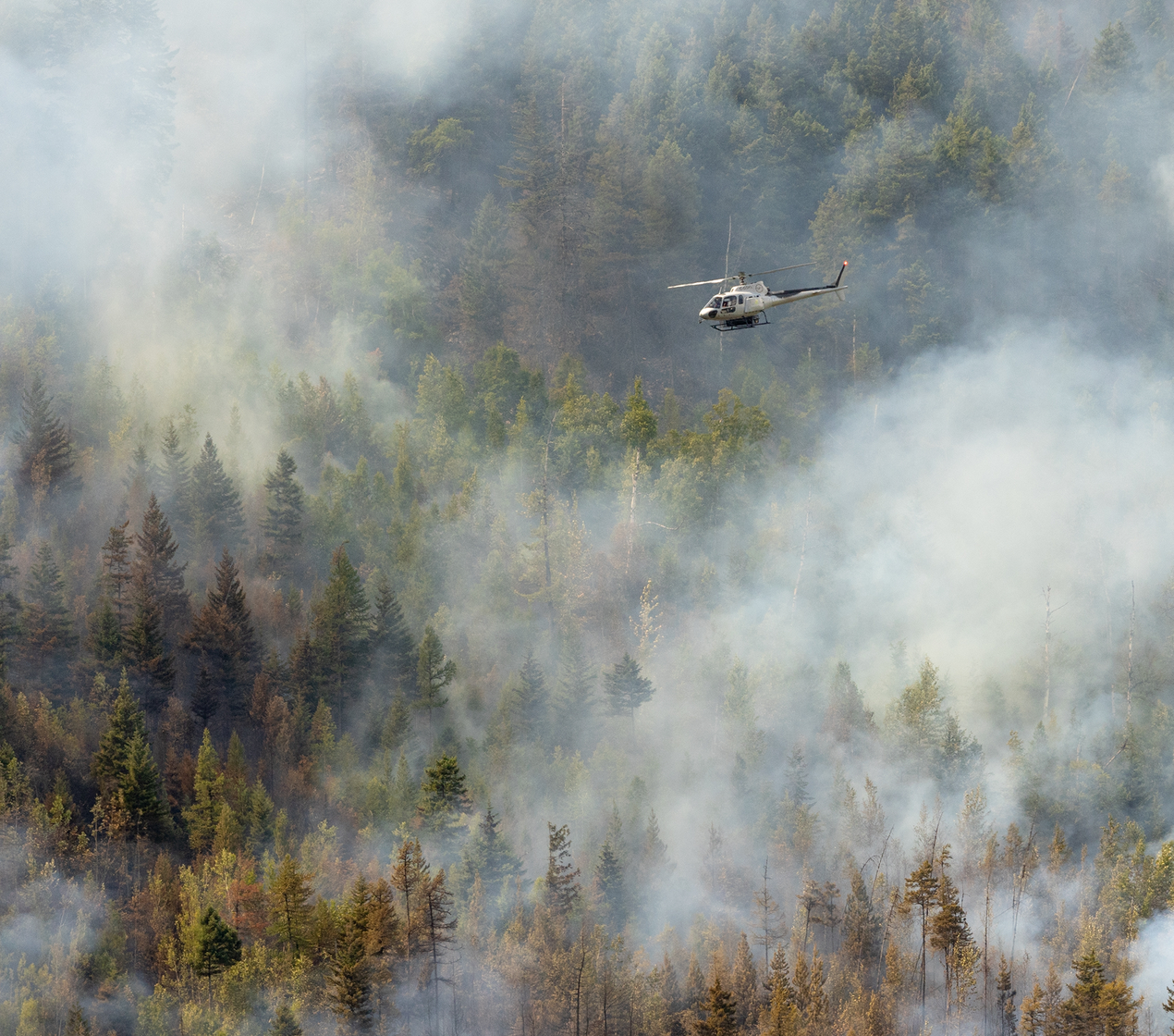 shutterstock_2400912575.png(1)