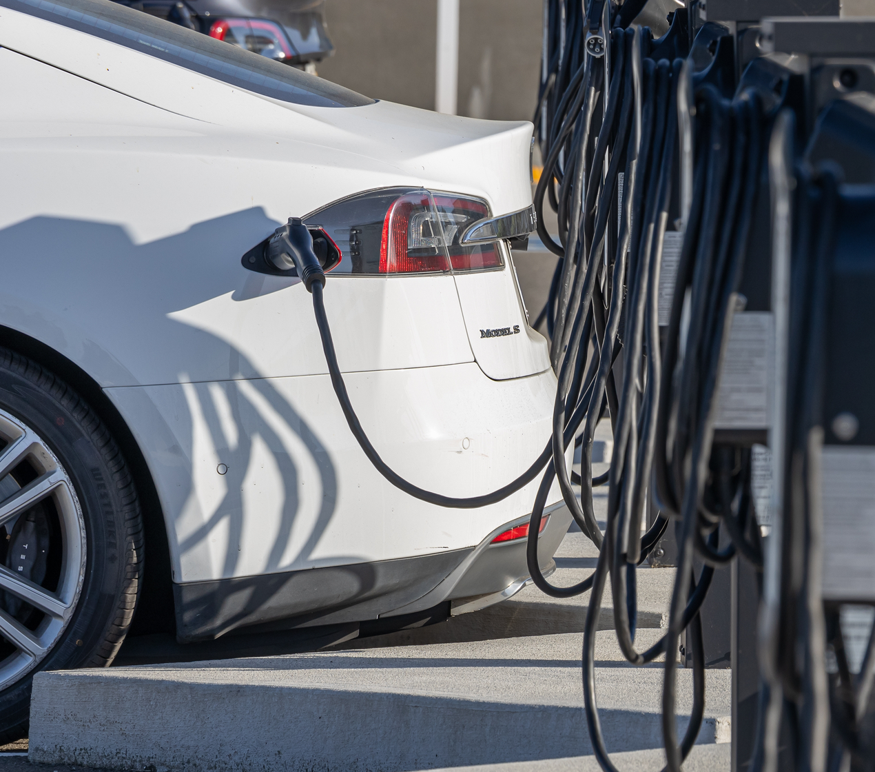 shutterstock_2473705699