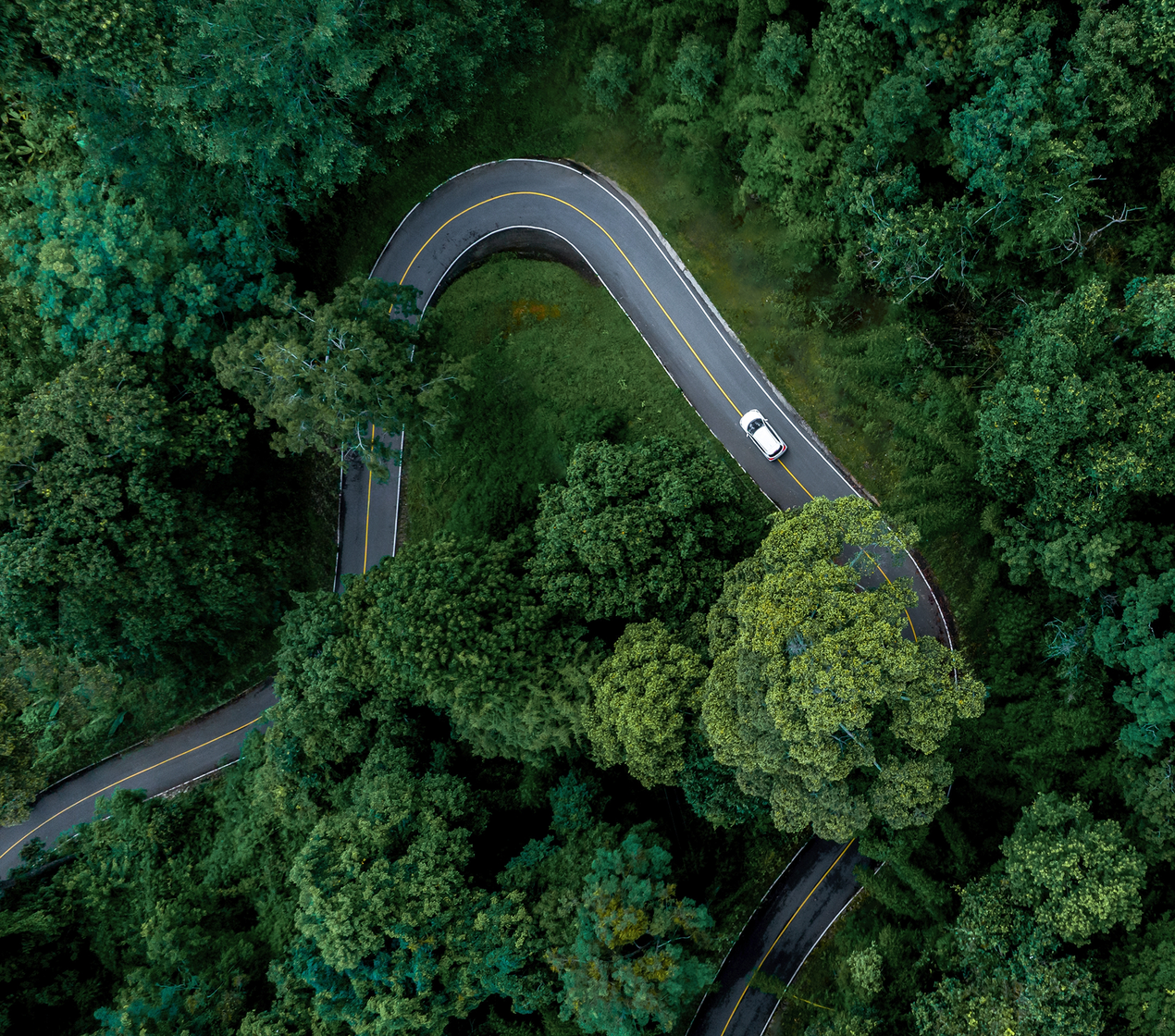 shutterstock_2474458705