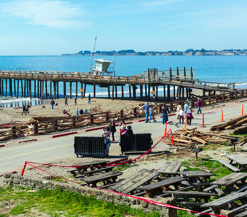 shutterstock_2477479205(1)