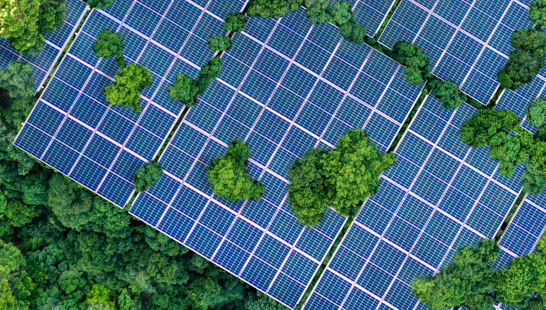 shutterstock_2480041573