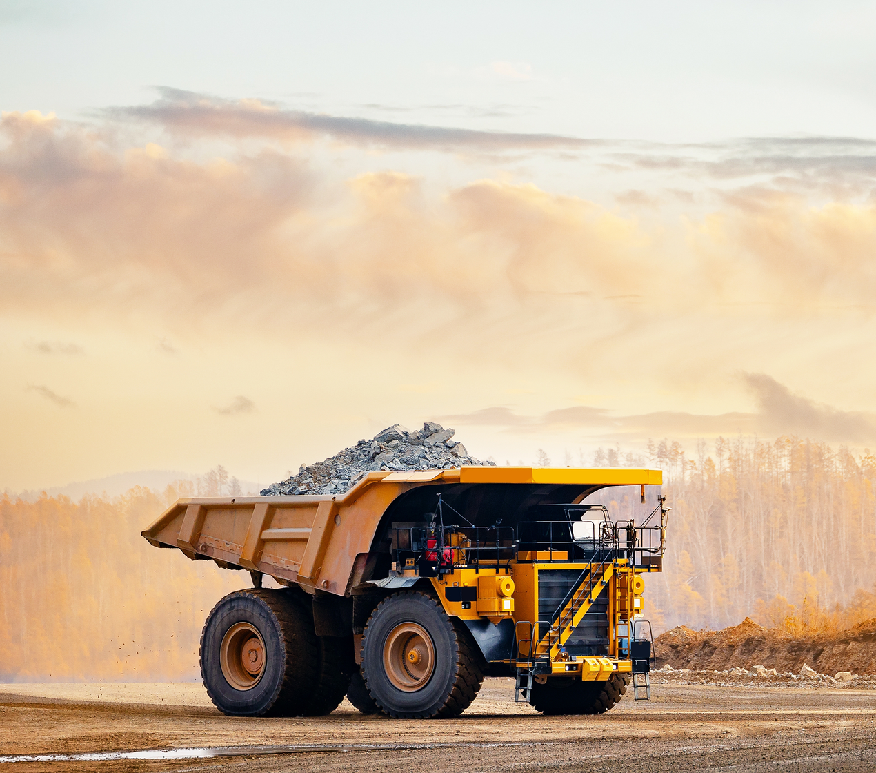 shutterstock_2555062431 (16x9)