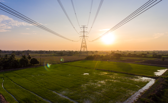 shutterstock_542591794 (2).jpg